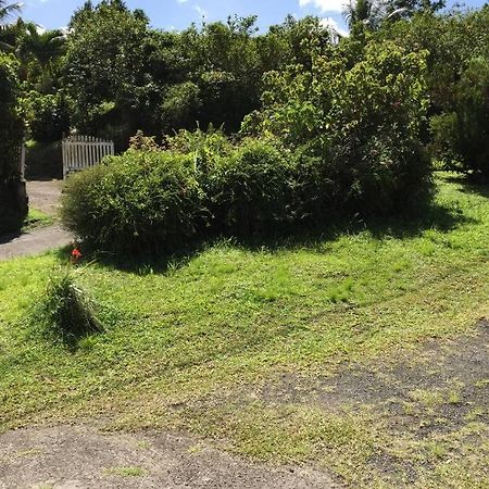Logement En Pleine Verdure Tropicale -10 Min Plage Le Morne-Rouge Экстерьер фото